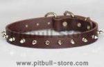 Handmade Leather Spikes Dog Collar-1 row with Silver Spikes