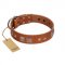 "Egyptian Gifts" Handmade FDT Artisan Tan Leather Pitbull Collar with Chrome-plated Pyramids