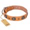 'Twinkle Twinkle' FDT Artisan Incredible Studded Tan Leather Pitbull Collar with Silver-Like Circles