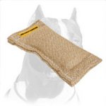 Small-Sized Pitbull Bite Tug for Puppy Training