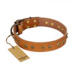 'Autumn Story' FDT Artisan Leather Pitbull Collar with Old Bronze Look Studs - 1 1/2 inch (40 mm) wide