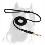 Soft Premium Leather Pitbull Dog Leash with Braided Ends