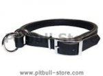 Adjustable Leather Slip Collar for Pitbull