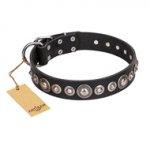"Strict Elegance" FDT Artisan Black Leather Pitbull Collar with Silvery Studs