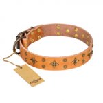 "Top-Flight" FDT Artisan Deluxe Tan Leather Pitbull Collar