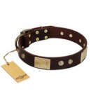 "Middle Age" FDT Artisan Brown Leather Pitbull Collar with Old Bronze-Plated Engraved Flowers and Large Plates