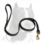 Superb Pitbull Dog Leash with Braided Decoration
