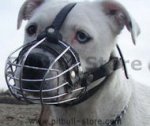 cage Dog muzzle for pitbull -wire basket dog muzzle-metal muzzle