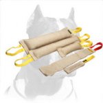 Pitbull Training Bite Set of Jute Tugs