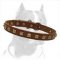 Exclusive Design Pitbull Dog Collar with Square Studs