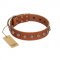 "Heroic Deeds" Designer Handmade FDT Artisan Tan Leather Pitbull Collar