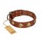 'Flight of Fancy' FDT Artisan Adorned Leather Pitbull Collar