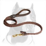 Amazing Design Pitbull Dog Leash with Smoothed Handle