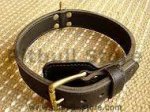 Two ply leather agitation dog collar- no handle-C33NH