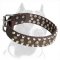 Studded Pitbull Dog Collar for Daily Walks