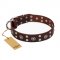 'Pirate Treasure' FDT Artisan Exciting Brown Leather Pitbull Dog Collar with Studs