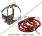 Dog Harness Leash (leather dog harnes with nylon dog lead)