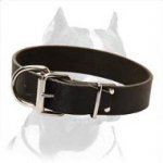 Leather Dog Collar 1 1/2 inch (40 mm) wide for Pitbull
