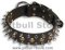 PITBULL Studded&Spikes Black collar 22'' /22 inch dog collar-S55