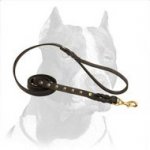 Studded leather dog leash for walking and tracking with your Pitbull