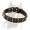 Best Studs and Spikes Leather Dog Collar for Pitbull