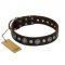"Victory Ode" FDT Artisan Brown Leather Pitbull Collar with Silver-like Plated Decorations