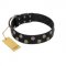 "Egyptian Style" Handcrafted FDT Artisan Black Leather Pitbull Collar with Medallions