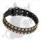 Handcrafted Pitbull Dog Collar Leather - Plus - Studs