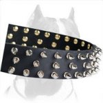 High-quality Leather Collar with 3 Rows of Spikes for your Marvellous Pitbull