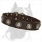 Gorgeous Wide Leather Dog Collar With Silver Conchos for Pitbull