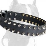Top class Leather Spiked Collar for your Pitbull