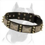 Handcrafted Leather Dog Collar decorated with Spikes and Plates