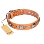 'Silver Chic' FDT Artisan Tan Leather Pitbull Collar with Silvery-plated Decorations