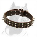 Best Studs and Spikes Leather Dog Collar for Pitbull