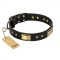 FDT Artisan 'Black Sun' Leather Pitbull Collar with Brass Plated Decorations - 1 1/2 inch