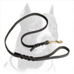 Pitbull Dog Leash Top Notch Quality