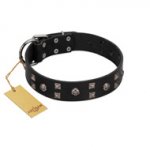 "Fire Eyes" Designer Handmade FDT Artisan Black Leather Pitbull Collar