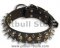 APBT 3 Rows Leather Spiked and Studded Dog Collar- Spiked Collar