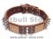 Comfort PITBULL Brown dog collar 18 inch/18'' collar - C86