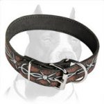 Skillfully Painted Leather Dog Collar with Barbed Wire