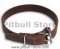 Premium 1 inch Wide Latigo Collar for Pitbull