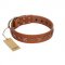 "Star Shine" Exclusive FDT Artisan Tan Leather Pitbull Collar with Silver-Like Adornments
