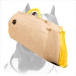 Jute Pitbull Dog Sleeve for Puppies
