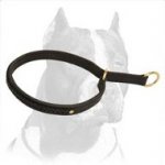 Fashion 2 Ply Leather Choke Dog Collar with Braid