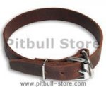 Premium 1 inch Wide Latigo Collar for Pitbull
