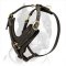 Handcrafted Leather Harness with Brass Decorations for Pitbull