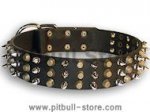Leather dog collar with 3spikes+3old brass pyramids for All dogs