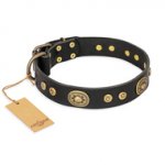'Golden Radiance' FDT Artisan Black Leather Pitbull Collar with Old Bronze Look Ovals and Circles