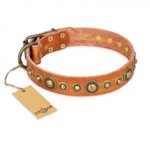 'Feast of Luxury' FDT Artisan Pitbull Tan Leather Dog Collar with Old Bronze-Like Plated Circles - 1 1/2 inch (40 mm) wide