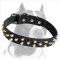 Leather Collar with Cool Studs for handling your Pitbull